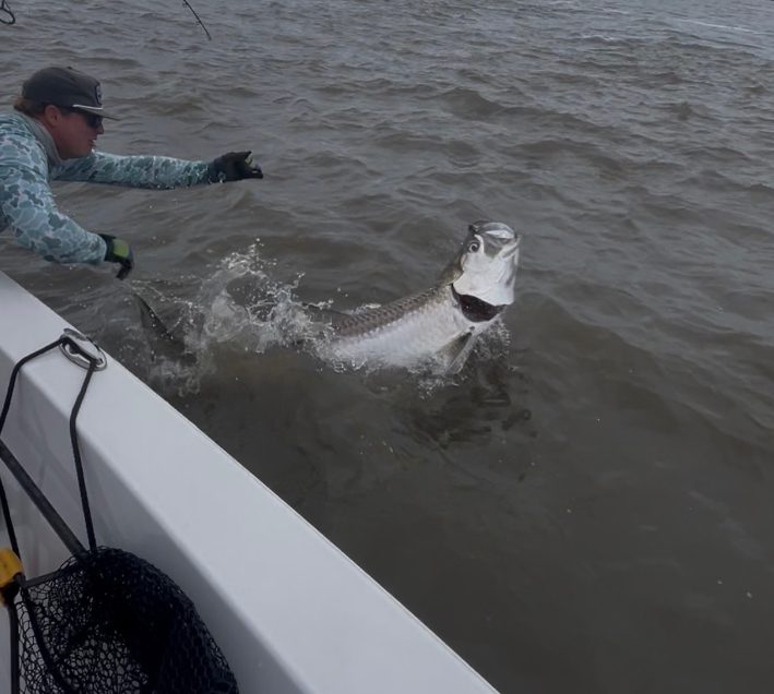 North Island Fishing Charters