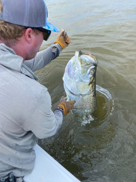 North Island Fishing Charters