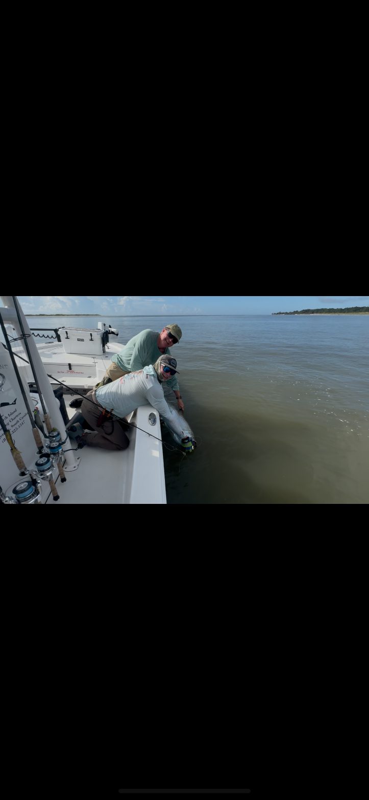 North Island Fishing Charters