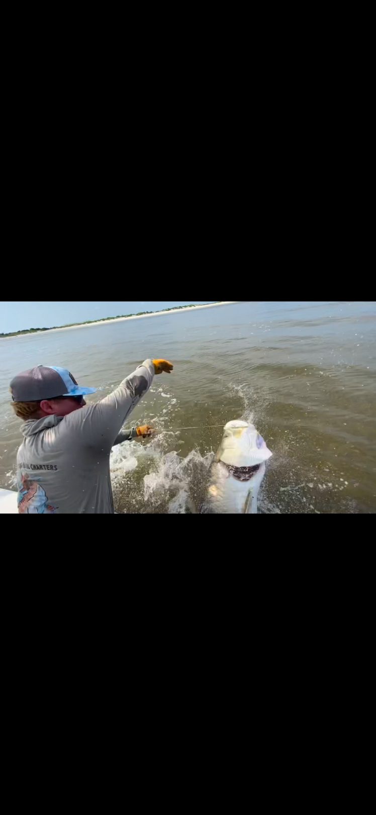 North Island Fishing Charters