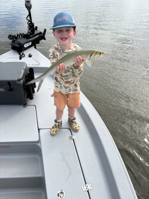 North Island Fishing Charters