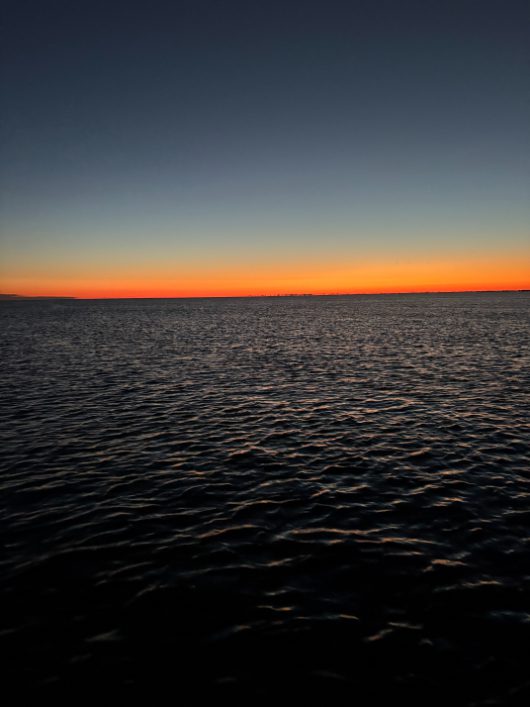 North Island Fishing Charters