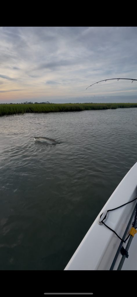 North Island Fishing Charters