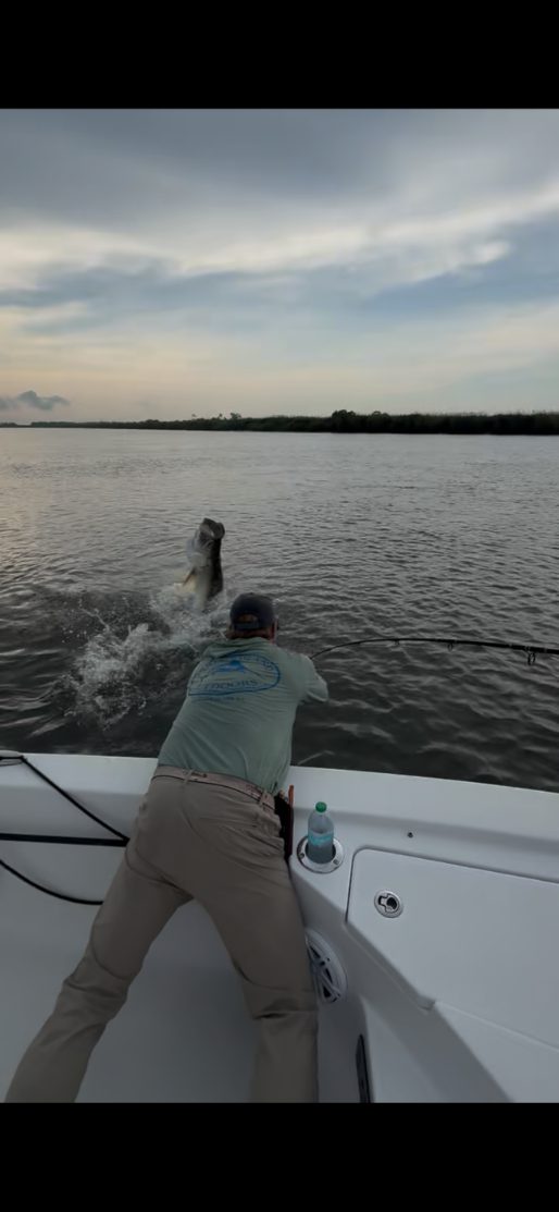 North Island Fishing Charters
