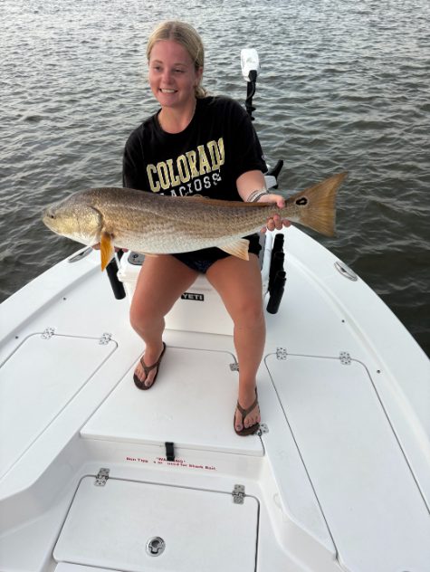 North Island Fishing Charters