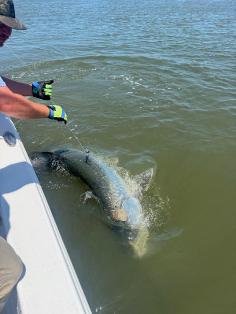 North Island Fishing Charters