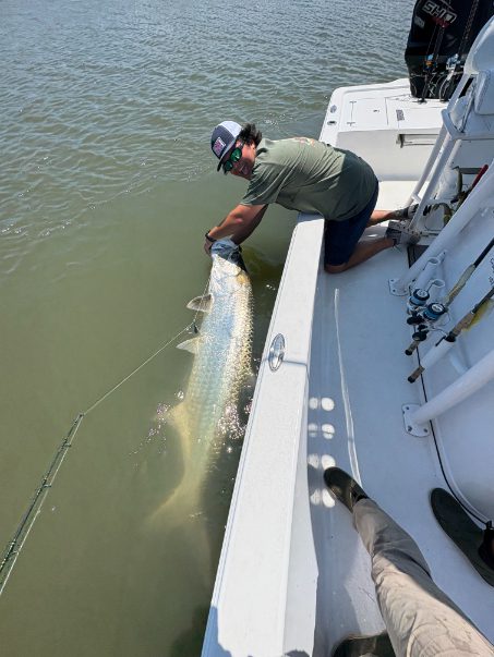 North Island Fishing Charters