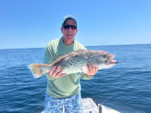 North Island Fishing Charters