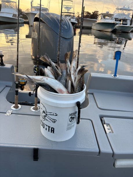 North Island Fishing Charters