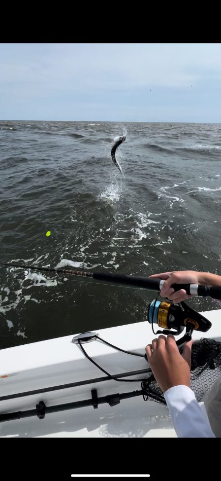 North Island Fishing Charters