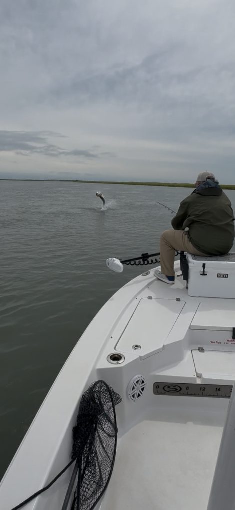 North Island Fishing Charters
